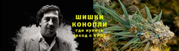 apvp Ельня
