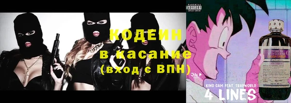 индика Чердынь
