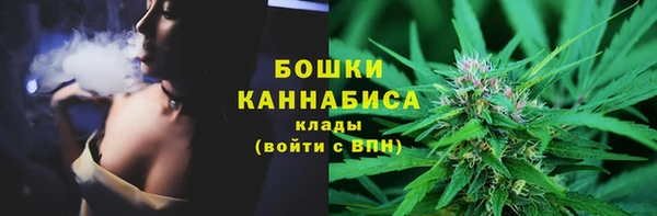 apvp Ельня