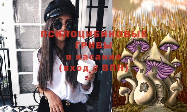 apvp Ельня