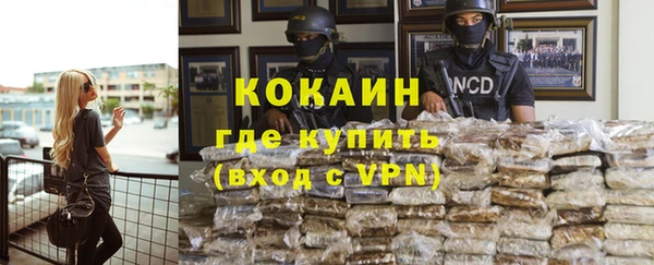 apvp Ельня