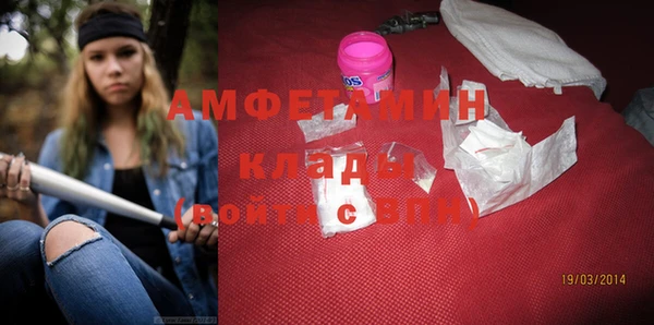 apvp Ельня