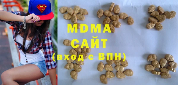 apvp Ельня