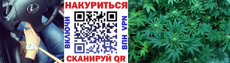блэк спрут сайт  Сенгилей  Конопля сатива 